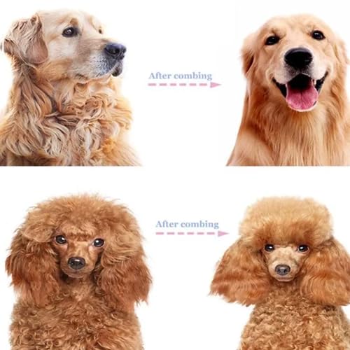 Desembolador Removedor Pelos Cães Gatos Subpelos Esvoca Dupla 26 Dentes Modelo Profissional Premium