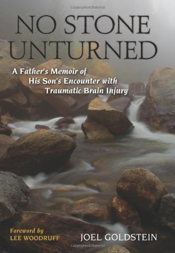 No Stone Unturned: A Father's Memoir of His Son's Encounter with Traumatic Brain Injury