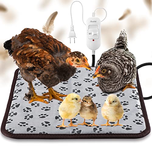 Top 10 Best Chicken Coop Heater Mat Reviews & Buying Guide Katynel