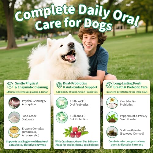 Dog Dental Powder, Dog Teeth Cleaning Powder with 6B CFU Probiotics, Enzymes & Antioxidants, Fresh Breath Support, Plaque & Tartar Off, No Brushing Oral Care - 75 Servings, Mint Chicken Flavor — view 4