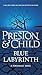 Blue Labyrinth (Agent Pendergast Series, 14)