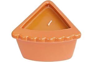 Ashland 9oz. Pumpkin Pie Slice Candle: The Perfect Fall Aroma for Any Home