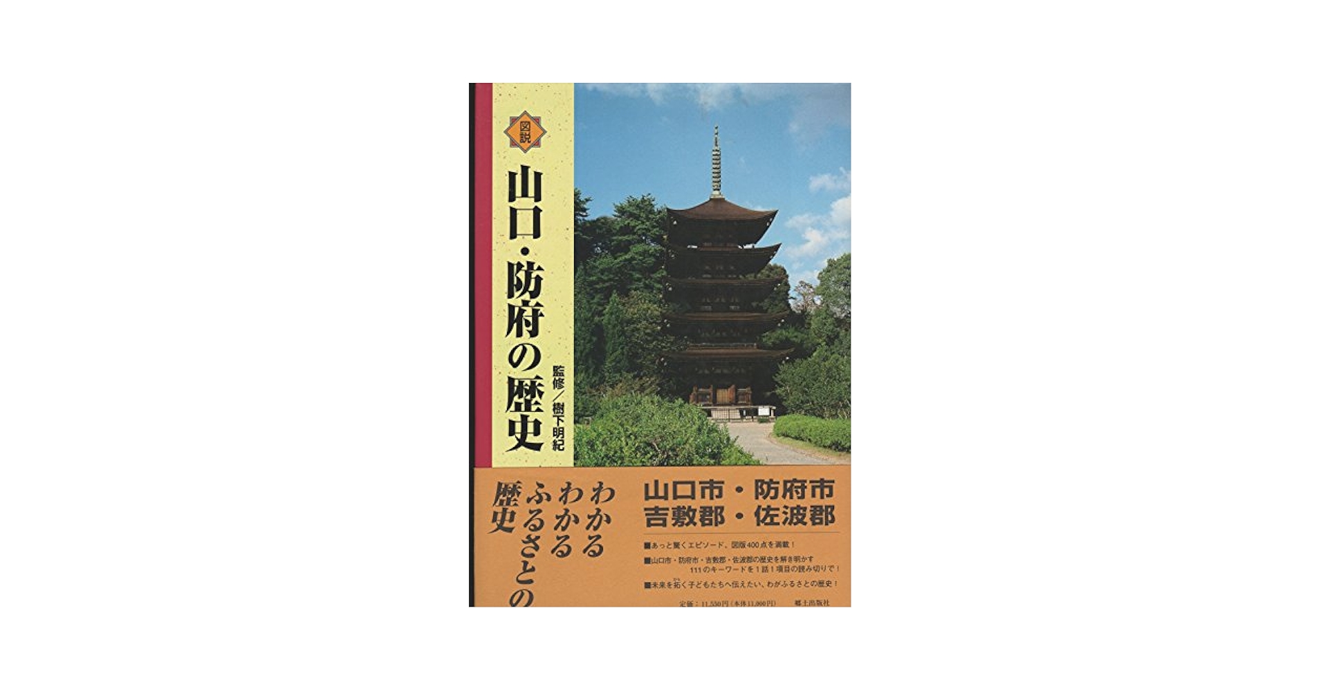 図説山口・防府の歴史 (山口県の歴史シリーズ)