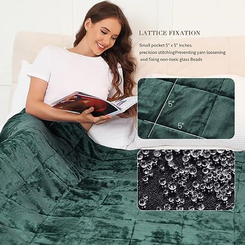 Image of Alomidds Weighted Blanket for Adults, Twin Size 12 lbs Weighted Blankets,Heavy Blanket with Reversible Soft Shiny Fleece and Cozy Warm Sherpa for Couch Bed, 48 x 72 inches,Green