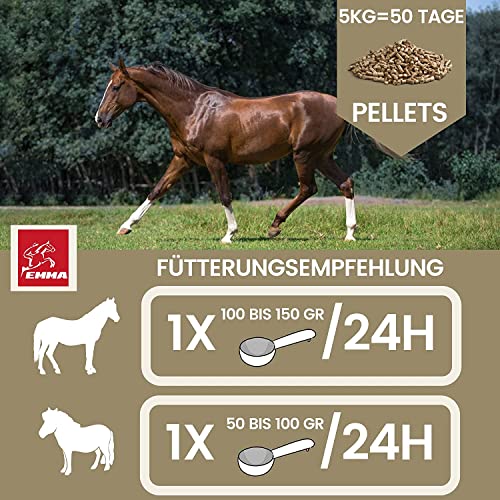 EMMA Mineralfutter Pferd 5kg + Biotin Zink Selen – Mineralien Komplex mit Magnesium & Bierhefe – Pellets & Amino Paste 30ml – Huf Fell Haut Fellwechsel – Pferdefutter für Starke Hufe & Vitalität