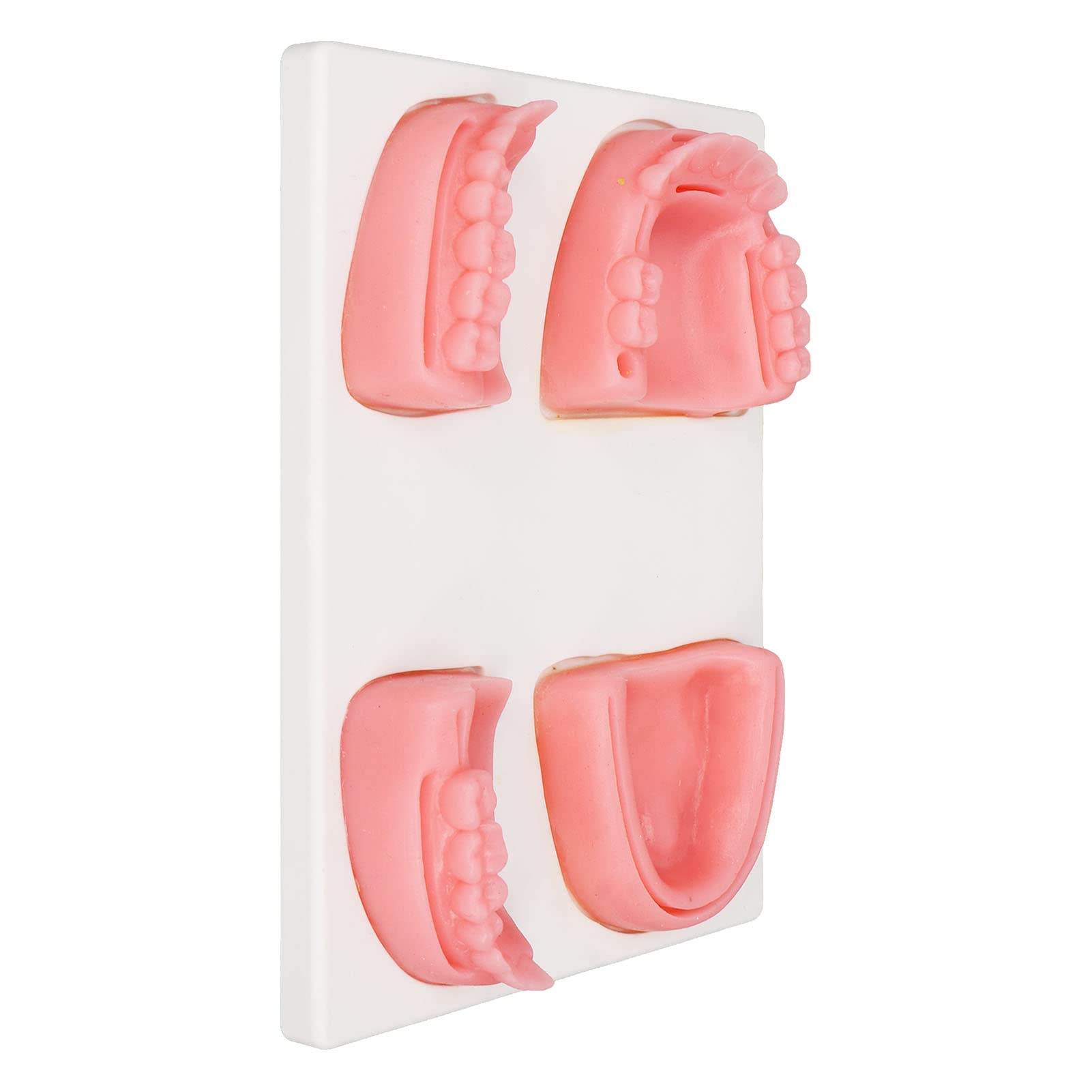 Kit di Pratica di Sutura Dentale, Kit di Sutura Orale Per Addestramento alla Sutura Medico Odontoiatrico, Comprese Pinze, Pinzette E 4 Diversi Cuscinetti di Sutura Per Dentista