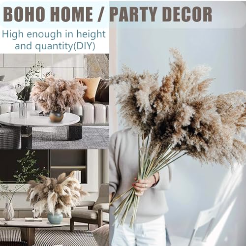 Image of 20 Stems 28 inch Large Brown Pampas Grass - Natural Fluffy Pompas Grass Bulk for Floor Vase - Boho Decor Home Wedding Event Decor, Gift