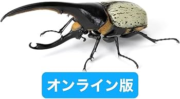 Amazon | オンライン版 いきもの大図鑑 かぶとむし07 ヘラクレス