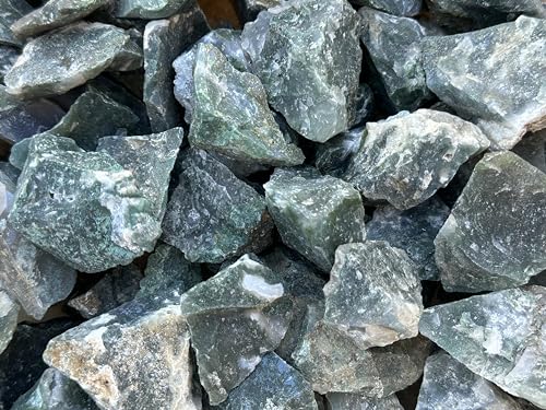 GAF TREASURES 1/2 LB Raw Tree Agate Crystals, Natural Tree Agate, Natural Rough Tree Agate Crystals, Tree Agate Healing Crystals (Tree Agate)