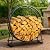 IDZO 41in Firewood Rack, 400lbs Load Capacity, Rust Resistant Steel, Black, Wood Storage