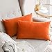 MIULEE Lot de 2 Housses de Coussins en Velours Décoratif Canapé Taie d'oreiller Super Lisse Doux Decoration Maison Salon Chambre pour Canapé 2 Pièces 30X50CM Orange