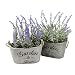Purple Silk Floral Arrangements Faux Lavender Flower Plant Home Office Décor 2 Pc Set - with Grey Vases