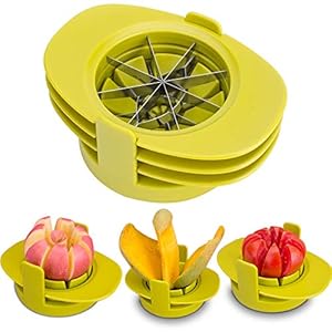 iLifeTech 4-in-1 Fruit Apple Mango Dunschiller Splitter Pitter Remover Peer Corer Cutter Tomaat Snijder