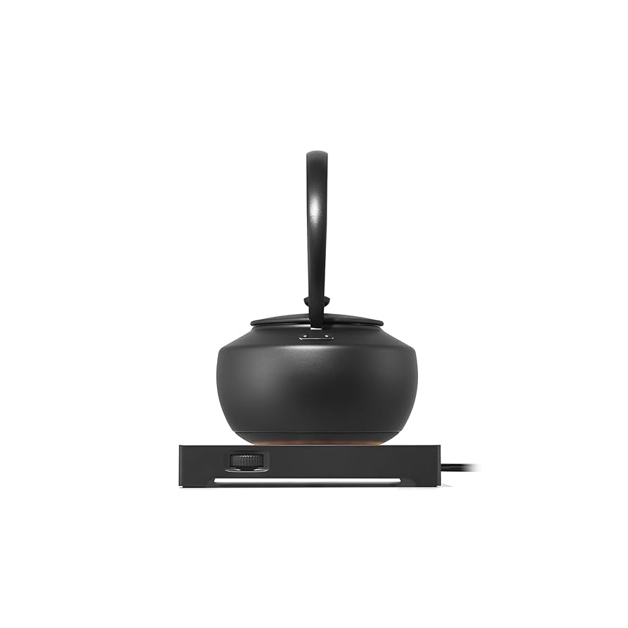 Amazon.com: BALMUDA MoonKettle | Electric Kettle with Temp