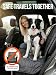 TRIPOLACO Hundegurt fürs Auto - Verstellbarer Anschnallgurt mit Rückdämpfung- Sicherheitsgurt mit ISOFIX Anschluss für Alle Hunderassen & Autotypen