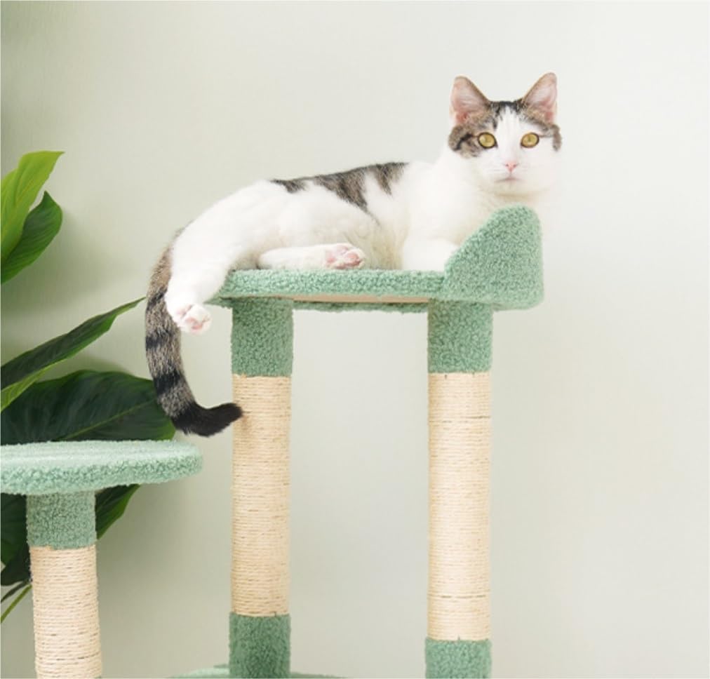 Alberi per Gatti Tiragraffi per Gatti Centro attività per Mobili Torre per Albero Gatti Interno