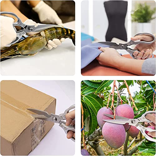 Foto von CGBE Küchenschere, Haushaltsschere aus Edelstahl, Strapazierfähig, Spülmaschinenfest, Allzweckschere, Scharfe Kochschere für Küche, Huhn, Geflügel, Fisch, Fleisch, Kräuter, Silber