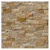 Tenedos Scabos Travertine Splitface Stacked Ledger Wall Panel 6 in. x 24 in. Natural Stone Tile for Accent Walls Kitchen Backsplash Fireplace Surrounds (Sample Swatch)
