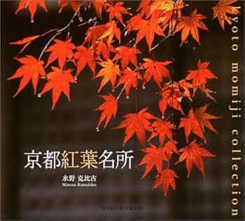 紅葉☆ 梅小路公園 紅葉 憩いの場の美しい紅葉 | 京都もよう KYOTO MOYOU