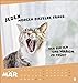 Mach mal Pause Postkartenkalender 2024. Kleiner Tierkalender mit lustigen Sprüchen rund um Büro und Arbeit. Kalender zum Aufstellen oder Aufhängen, ... und Versenden.: Für das Arbeitstier in dir
