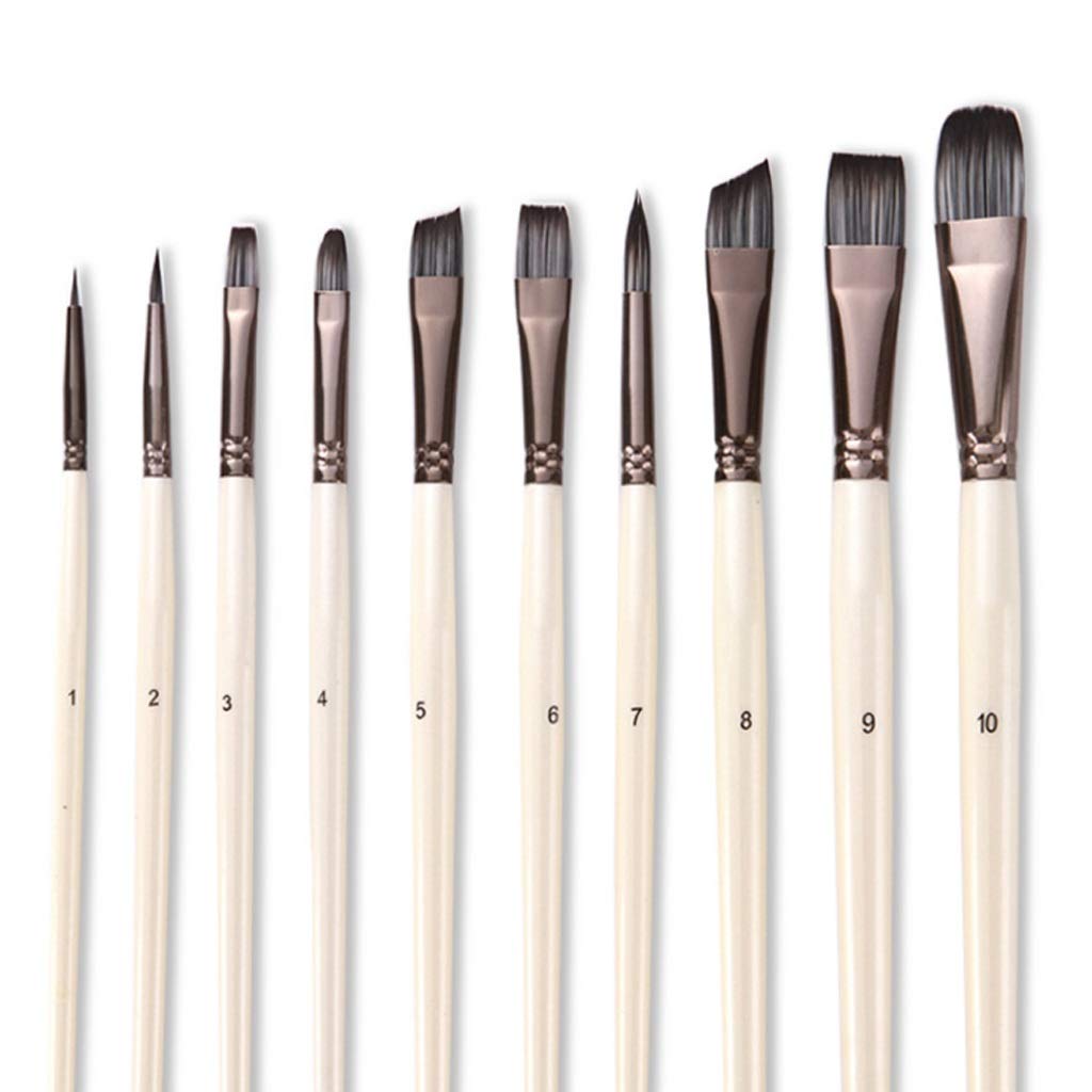 DUYHBAWRS Paint Brushes Set for Art Acrylic Gouache Oil Watercolor Artist Canvas Synthetic Nylon Tips 10 Pack