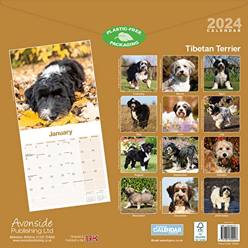 Tibetan Terrier Calendar 2024 - Image 2