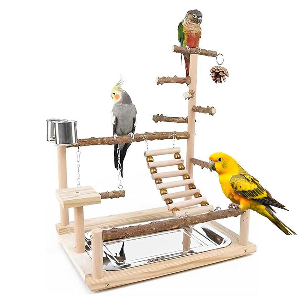 Bird Playground Parrot Playstand, Parrot Stand,Bird Wood Tall Standing Block,Game Table with Feeder… (G-500)
