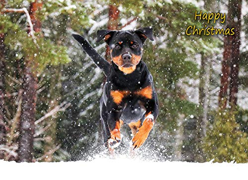 Rottweiler Dog Christmas Card 'Happy Christmas' - Special Animal Xmas Card for Him Her from Pets Kids