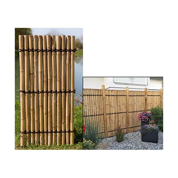 Sichtschutzzaun Bambuszaun Apas5 gelblich mit 180 x 90cm - Bambus Sichtschutzwand aus dicken Bambusrohren 1,8m x 0,9m…