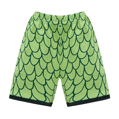 Umeyda Boys Pajamas Summer Cotton Pjs for kids Short Sets Sleepwear, Dinosaur Green, 5-7 Years3