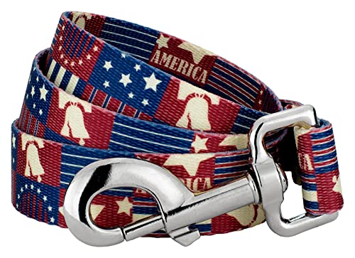 Country Brook Petz - Spirit of '76 Dog Leash - American Pride Collection Featuring Patriotic Designs (6 Foot, 1 Inch Wide)