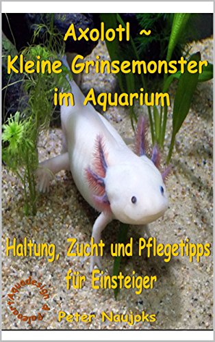 Produkt Bild Nr. 3