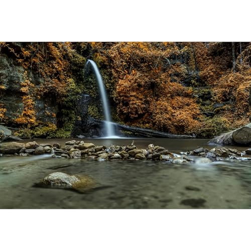 Image of Waterfall Aquarium Background Natural Autumn Forest Yellow Leaves Landscape Terrarium Background Tranquil Lake Stream with Rocks Fish Tank Background Falls Theme Aquarium Backdrop Vinyl 36x18in