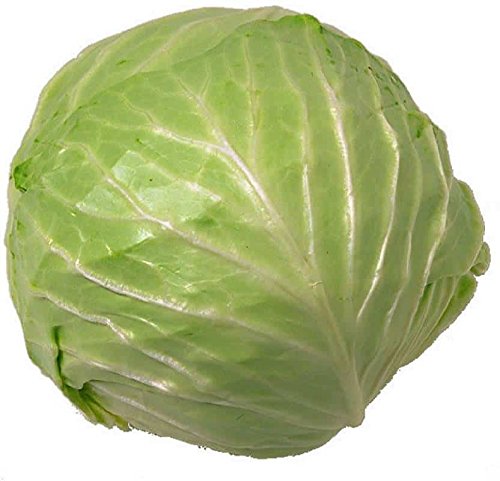 E-PlantLettuce Seeds, 1 Packet (30 per packet)