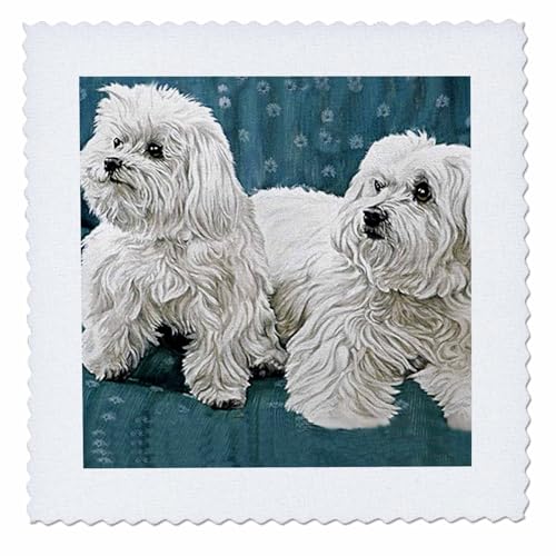 3dRose Quilt Square, Multicolor