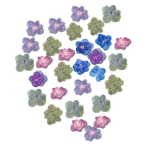 30 flores secas prensadas DIY para manualidades miniatura 1