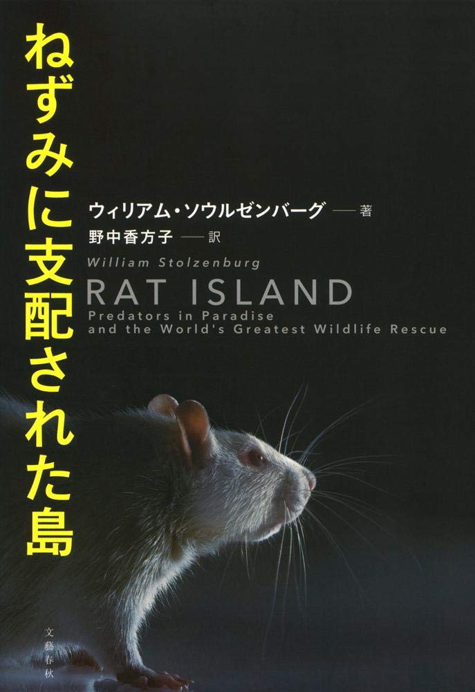 ネズミページ♡⃜ 71fce9ea5cdf065a9d3ce33cbe0023