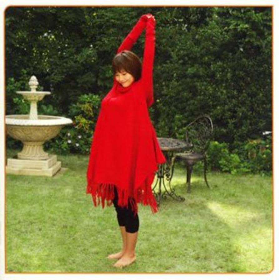 安倍なつみ DVD MAGAZINE マガジン　全15巻　＆　ほかDVD15点 安倍なつみ DVD MAGAZINE マガジン 全15巻 ＆ ほかDVD15点 安倍