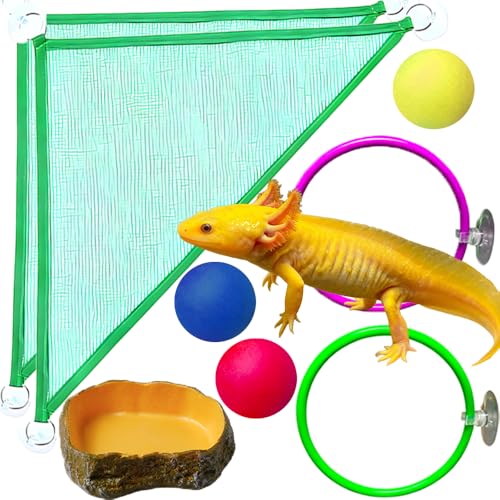 8 pcs Axolotl Hammock with Feeding Dish Floating Ball Axolotl Net for Aquarium Axolotl Enrichment Toys Reptile Triangle Hammocks Lounger Ladder Breathable Mesh Bearded Dragon Tank Accessories Green M