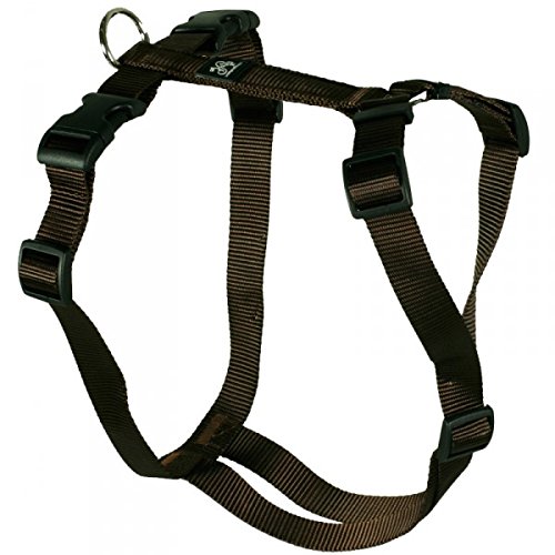 Hoffmann Hundegeschirr - Nylonband, Unifarben Braun, Bauchumfang 60-80 cm, 25 mm Bandbreite