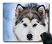 Produktbild Mausemat Dog Lover Animals Dog Domestic Animal Nature Husky Sled Dog Dogs With Stitched Edges Mouse Pad Oblong 25X30M Mousepad Mouse Mat Gaming Non-Slip Customized Premium Rubber