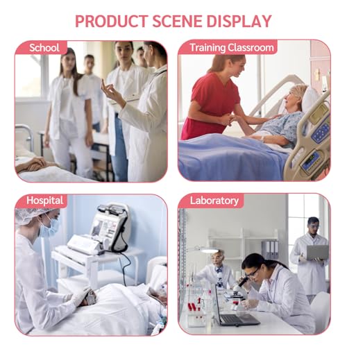 Decubitus Ulcer Training Model, PVC Bedsores Pressure Sore Model 4 Stages of Bedsores - Decubitus Wound Care Kit for Medical Pratice Training Teaching Model - Thumbnail 7