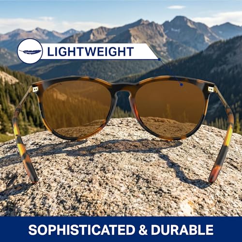 Image of Blenders Eyewear North Park X2 - Polarized Sunglasses - Classic Shape, Mixed Metal Frame - 100% UV Protection