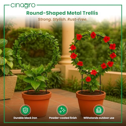 Image of CINAGRO Round-Shaped Iron Garden Trellis for Climbing Plants, Pack of 2 | Rust-Free, Decorative Vine Support Rack for Balcony Garden & Outdoor Plants