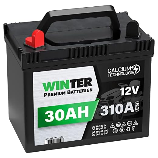 Winter Premium Rasentraktor Batterie 12V