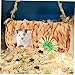 Yardwe Hamster Hammock Tunnel and Parrot Swing Toy Small Pet Hideout Tube for Guinea Pigs Mice and Dwarf Hamsters Exploration Accessory for Cage