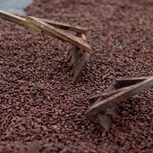 Equal Exchange Bittersweet Chocolate Chips (10 Oz.) (3- (10 Ounce Bags)) #TOP4