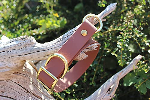 Biothane Halsband Zugstopp begrenzt