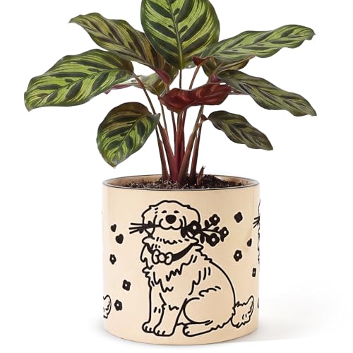 STHIE Indoor Plant Pot 5 Inch - Round Ceramic Planter with Drainage Hole Hand-Painted Cute Flower Pot for Desktop Office Windowsill Dog Lover Gift (Resting Dog)