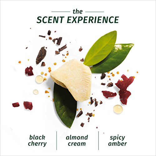 Herbal Essences Biorenew Vitamin E & Cocoa Butter Strength Shampoo, 13.5 Fl Oz #TOP2